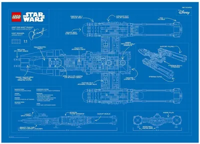 VIP BLACK CARD MAY THE 4TH POSTER