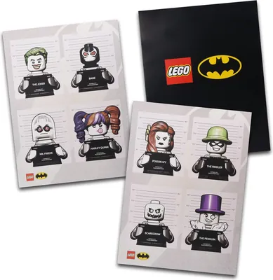 Insiders Batman™ Arkham Asylum™ Posters – Set of 2