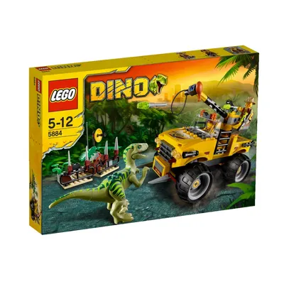 Raptor Chase
