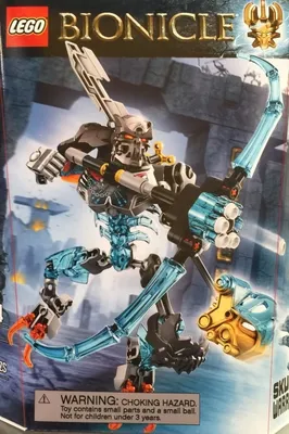 Skull Warrior
