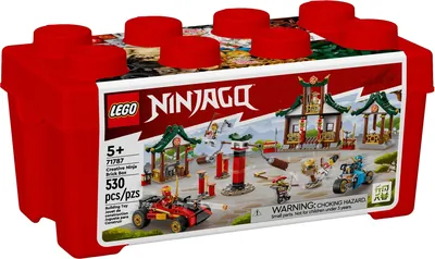 Creative Ninja Brick Box