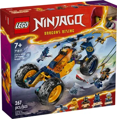 Arin's Ninja Off-Road Buggy Car