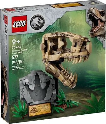 Dinosaur Fossils: T. rex Skull