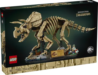 Dinosaur Fossils: Triceratops