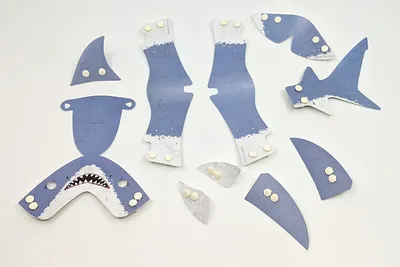 Shark Skin