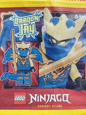 L0002200 Dragon Jay