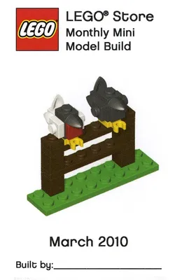 MMMB021 Birds