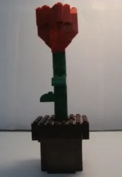 Toys "R" Us Rose Promotional Set