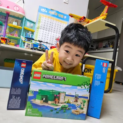 세뱃돈 탕진 잼~~~~3#세뱃돈 #까치까치설날 #설명절 #레고 #lego #레고21254 #lego21254 #hobby #레고마인크래프트 #legominecraft