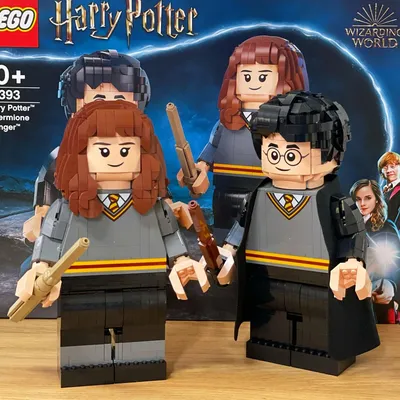 Lego 76393 Harry Potter & Hermione Granger..기대를 별로 안했는데 예상외로 정말 예쁘고 좋은 제품 서재나 아이들방에 장식용으로 강추! ..#harrypotter#헤리포터#레고#leg