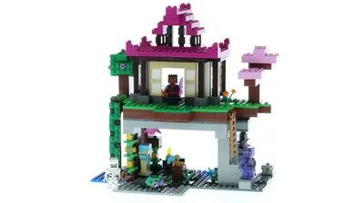 The Training Grounds LEGO Minecraft 21183 #lego #lego21183 #legominecraft #legotraininggrounds #legotraining #lego2022 #