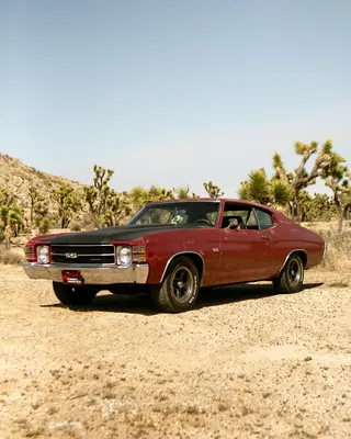 Meet Rusty ❤️‍🔥 My ironically no-rust 1971 Chevy Chevelle. She did so well car camping this weekend in Joshua Tree that 