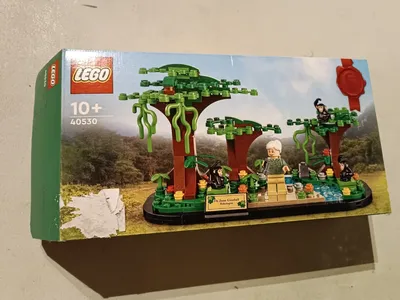 Lego: Tribute to Jane Goodall (40530)#lego #legojanegoodall #legofigures #oibaogeloriginal