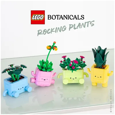 Review LEGO Botanicals 11506 Rocking Plants253 pcs, 19,99€, 1er mai 2026Après le très sympathique petit set LEGO Botanic