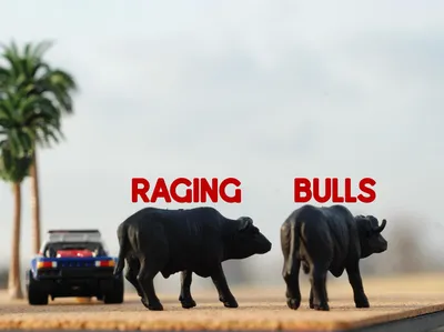 “Raging Bulls”•…or better yet “Racing Bulls” as the African adventures draw to an end, amidst  sand, rocks and palm tree