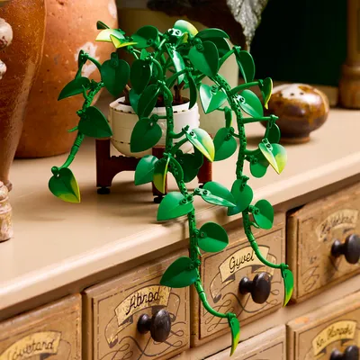 LEGO BOTANICALS 11512 Hanging Golden Pothos (372 pièces - 59,99 €)ça me rappelle les fleurs en plastoc de mamie qui pren