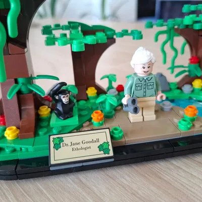 Lego 40530 - Ein Set zu Ehren von Dr. Jane Goodall - die bekannte Primatenforscherin stellte mir ihren revolutionären Ve