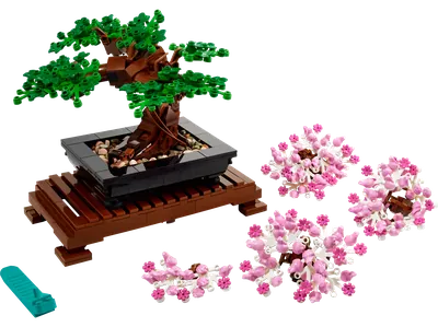 Bonsai Tree