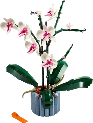 Orchid