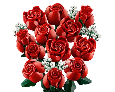 Bouquet of Roses