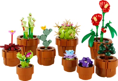 Tiny Plants