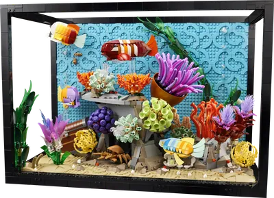 Tropical Aquarium
