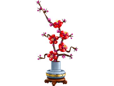 Plum Blossom