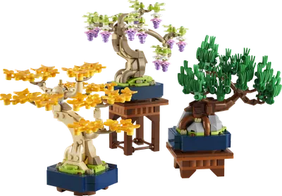Mini Bonsai Trees
