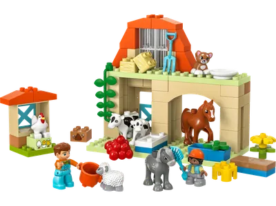 Caring for Animals at the Farm