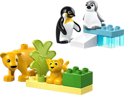 Wild Animal Families: Penguins & Lions