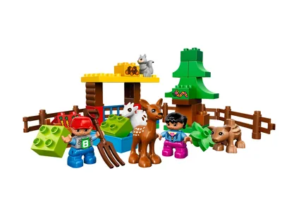 Forest: Animals