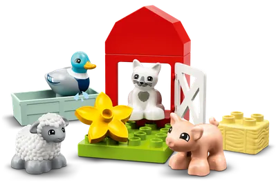 Farm Animal Care