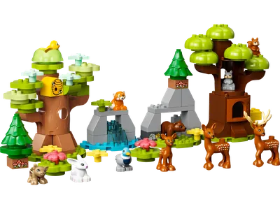 Wild Animals of Europe