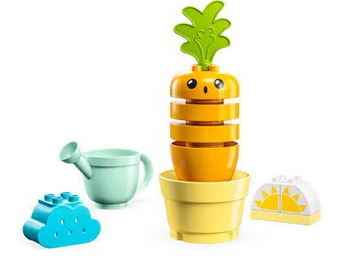 Growing Carrot