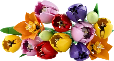 Tulip Bouquet