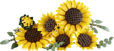 Sunflower Bouquet