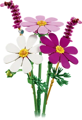 Cosmos Flowers