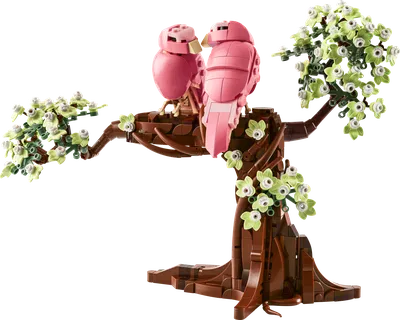 Love Birds