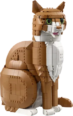 Orange Cat