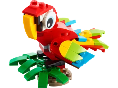 Tropical Parrot