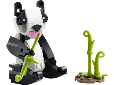Panda Bear