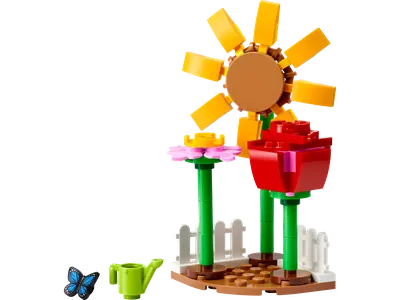 Flower Garden