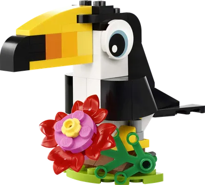 Tropical Toucan