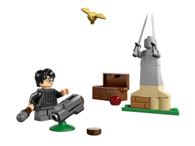 Quidditch™ Lesson