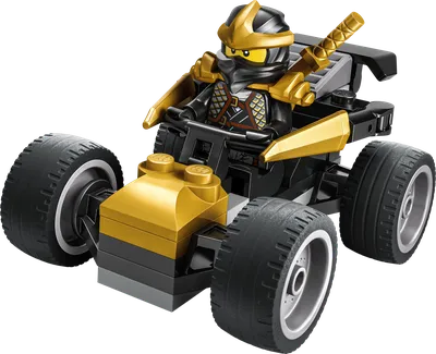 Ninja Cole's Car