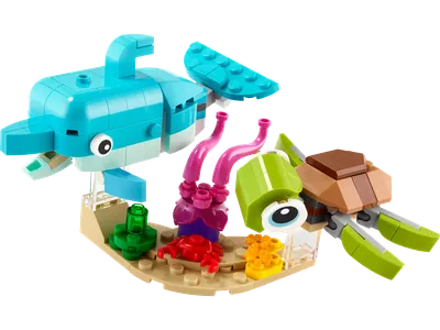 Dolphin and Turtle