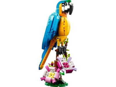Exotic Parrot