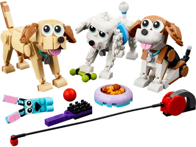 Adorable Dogs