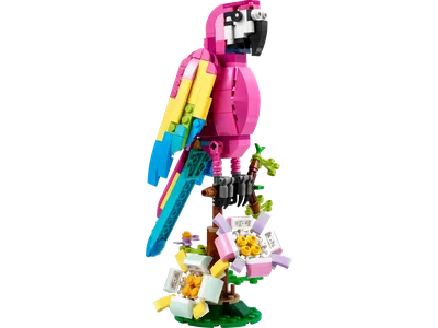 Exotic Pink Parrot