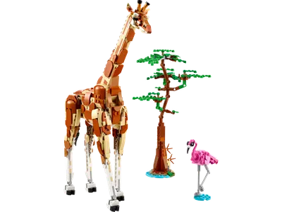 Wild Safari Animals